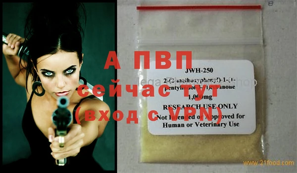 СК Белокуриха