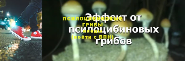 СК Белокуриха